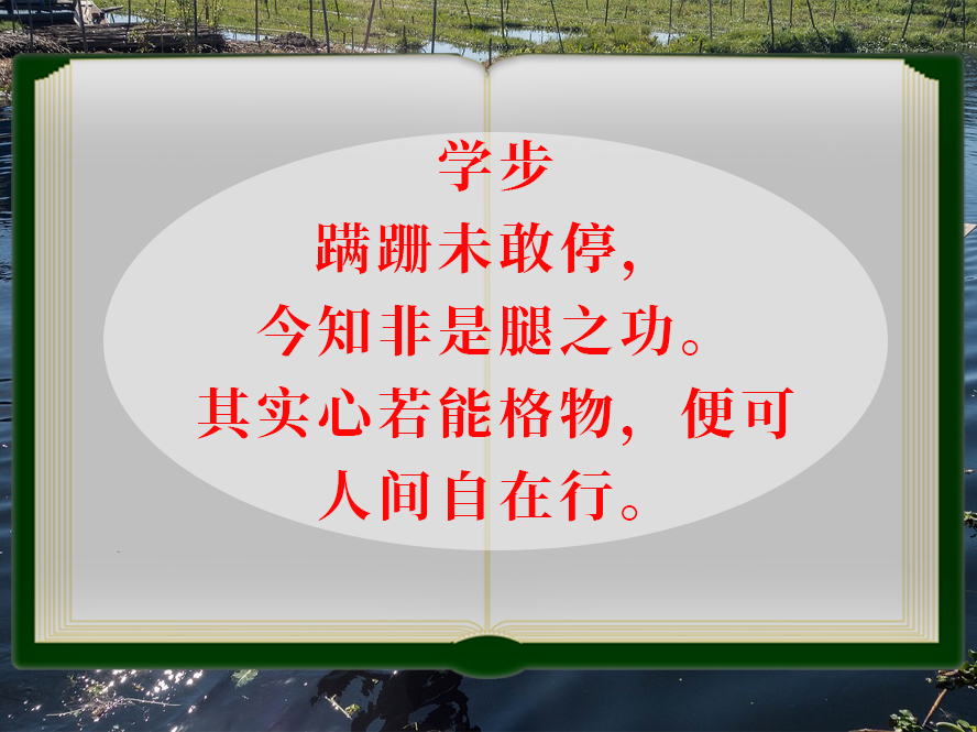 书.jpg