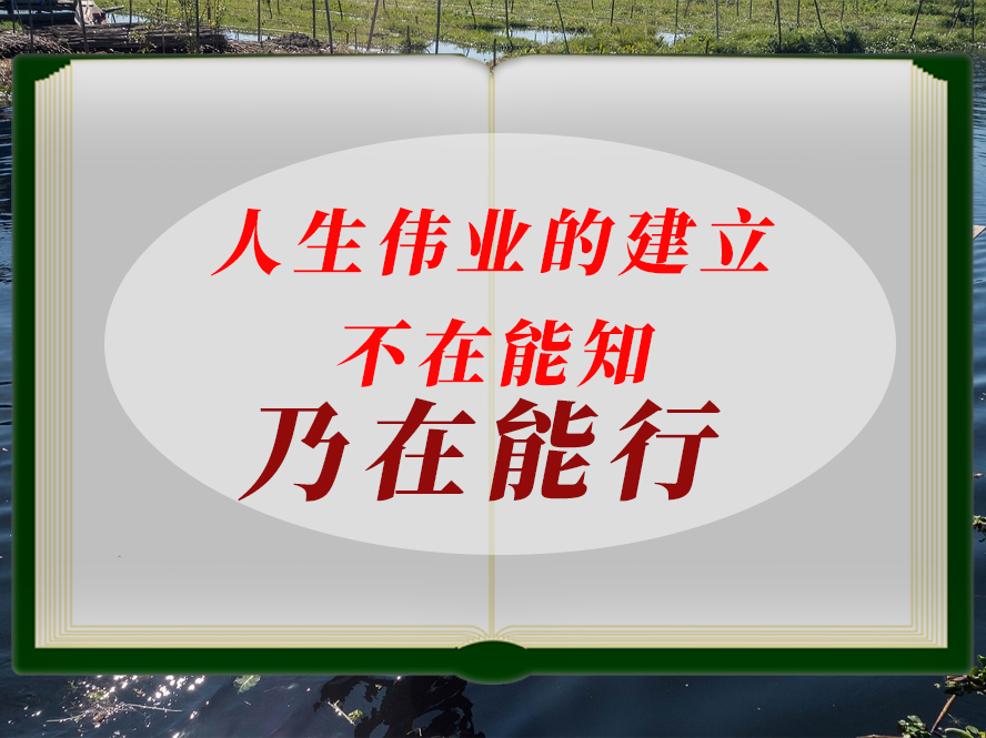 书7.jpg