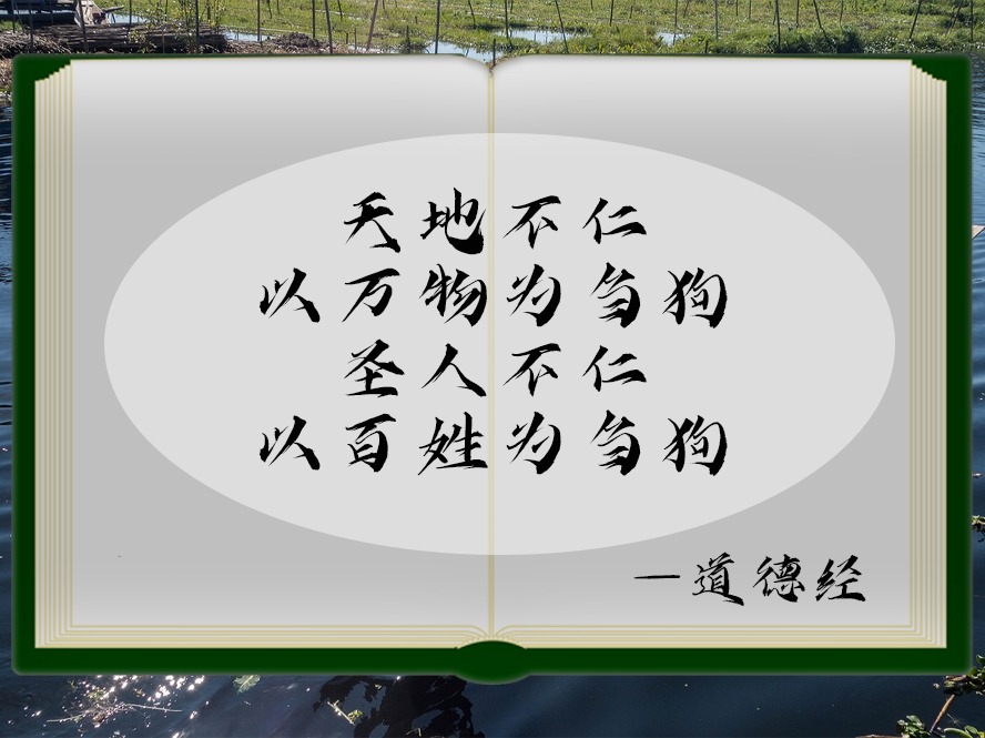 《道德经》第四、五、六章：天地不仁，以万物为刍狗；  圣人不仁，以百姓为刍狗。
