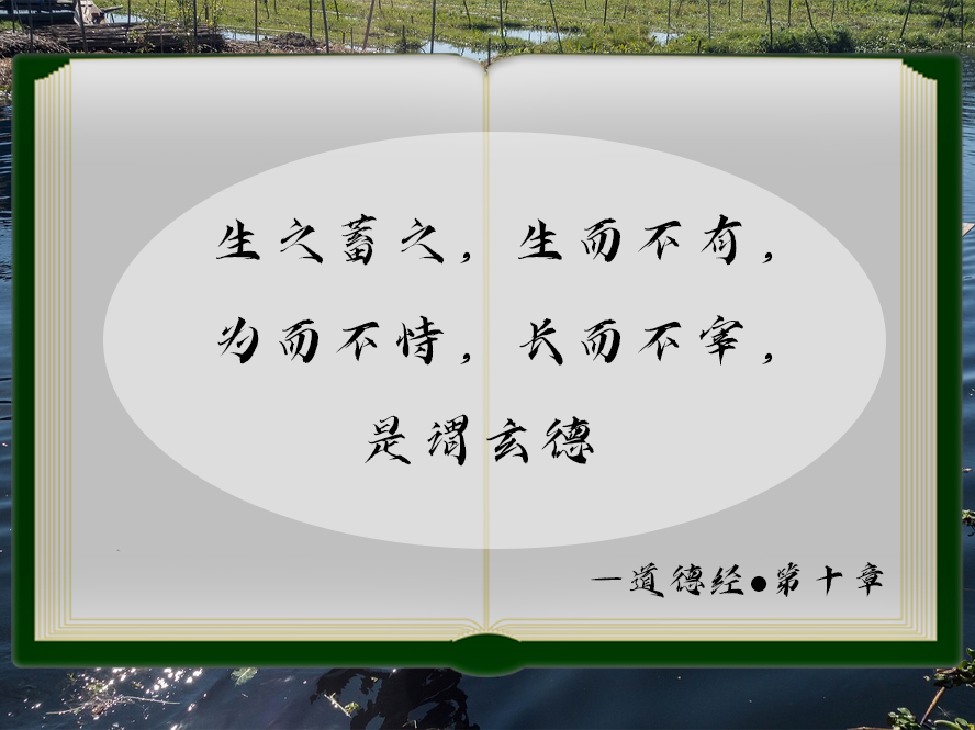 《道德经》第十章：生之蓄之，生而不有，为而不恃，长而不宰，是谓玄德。 